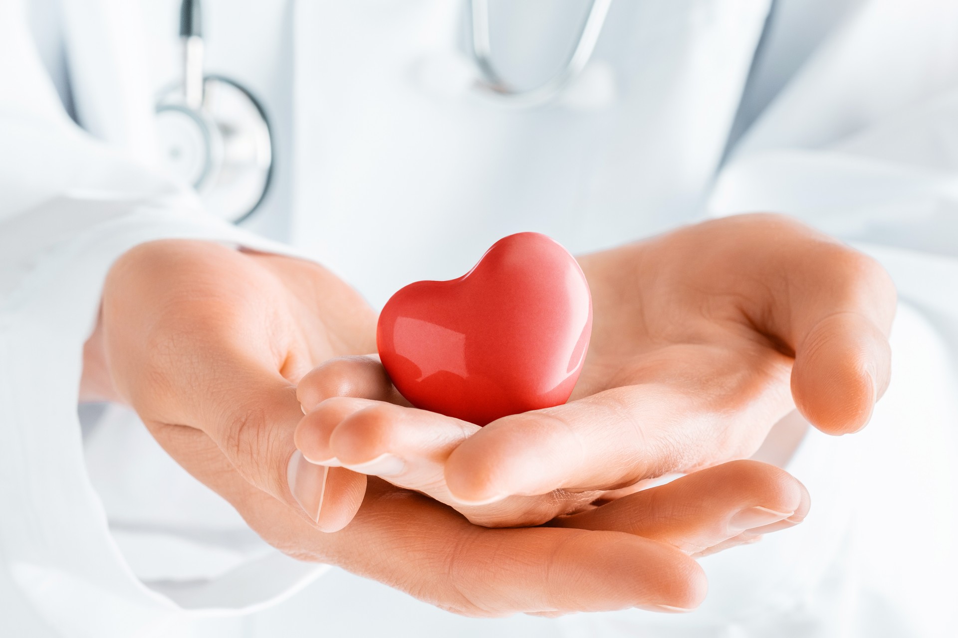 Doctor hands holding red heart. Cardiology, heart health and care.